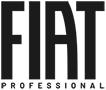 Fiat professional